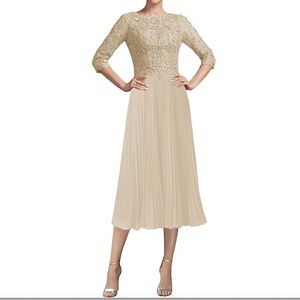 Formal Dress, Champagne Color, Pleated Skirt and Lace Bodice- Size 16